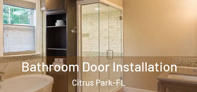 Bathroom Door Installation Citrus Park-FL