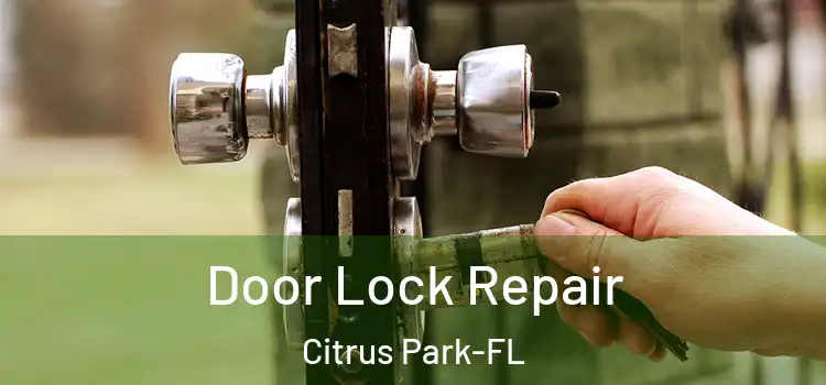 Door Lock Repair Citrus Park-FL