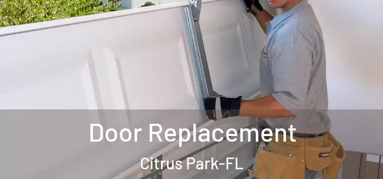 Door Replacement Citrus Park-FL