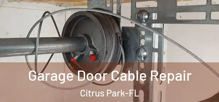 Garage Door Cable Repair Citrus Park-FL