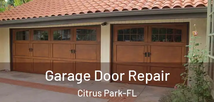 Garage Door Repair Citrus Park-FL