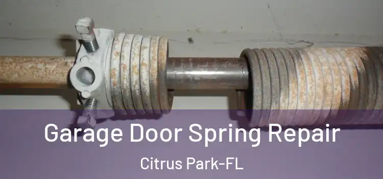 Garage Door Spring Repair Citrus Park-FL