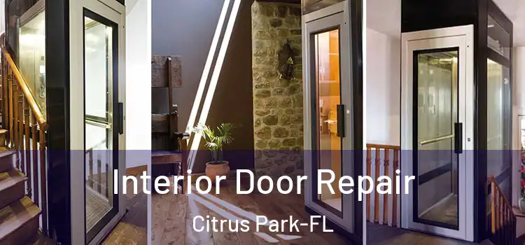 Interior Door Repair Citrus Park-FL