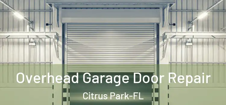 Overhead Garage Door Repair Citrus Park-FL
