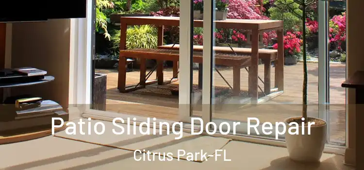 Patio Sliding Door Repair Citrus Park-FL