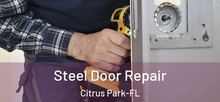 Steel Door Repair Citrus Park-FL