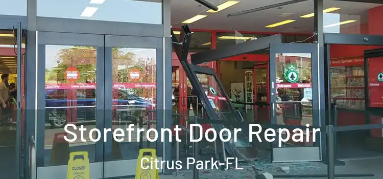 Storefront Door Repair Citrus Park-FL